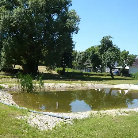 Zum Hirsch Guest house Goda