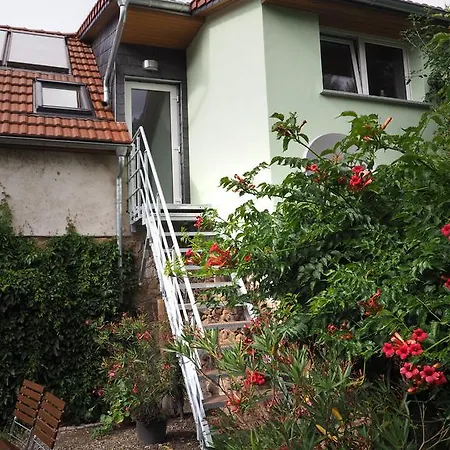 Zum Hirsch 3* Göda