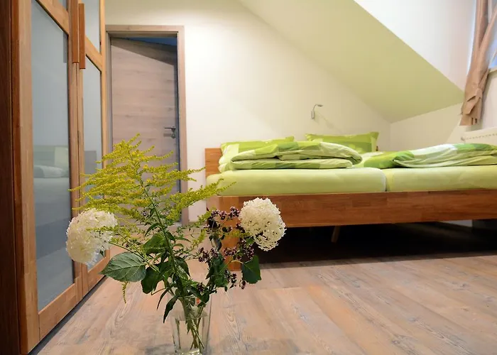 Zum Hirsch Guest house Goda