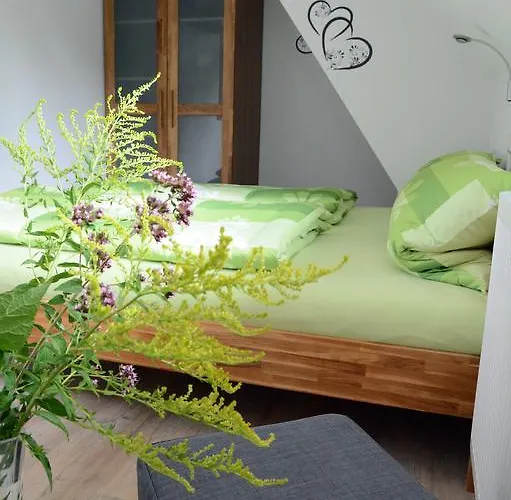 Zum Hirsch Guest house 3*